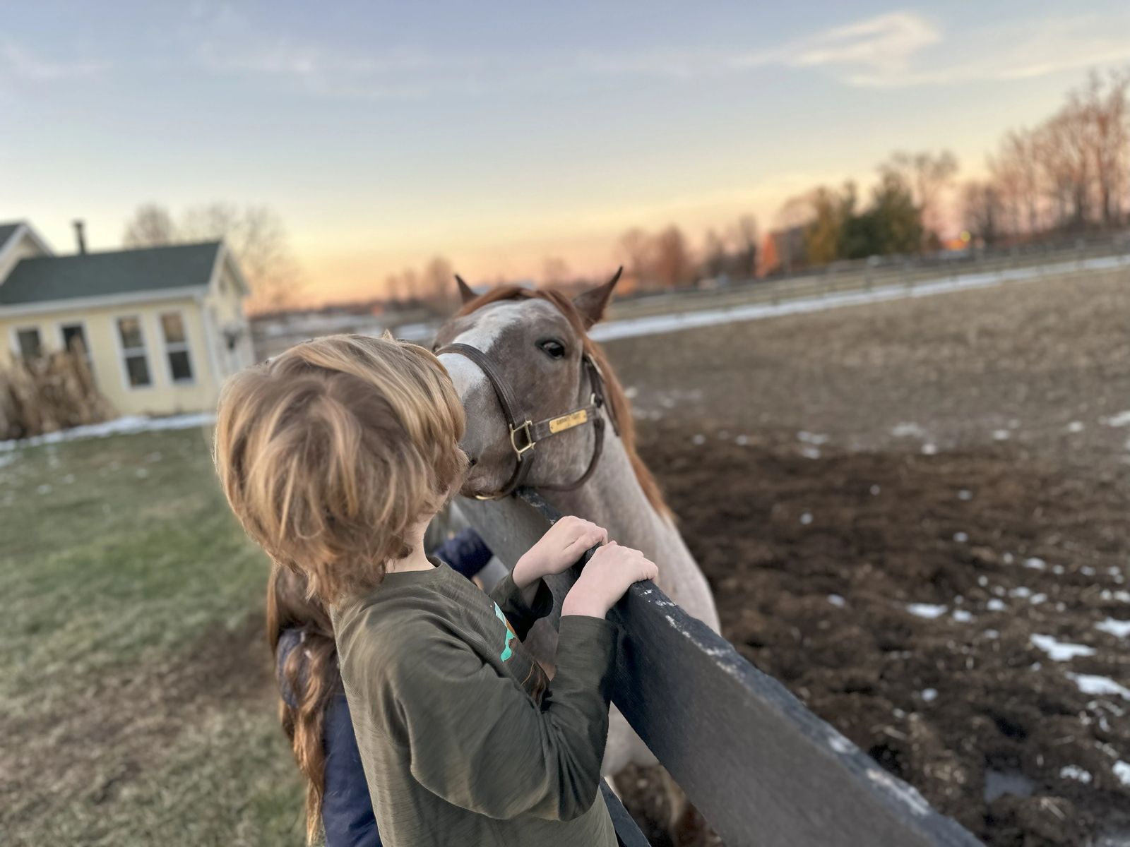 A child greeting a roan horse over the paddock fence at dusk