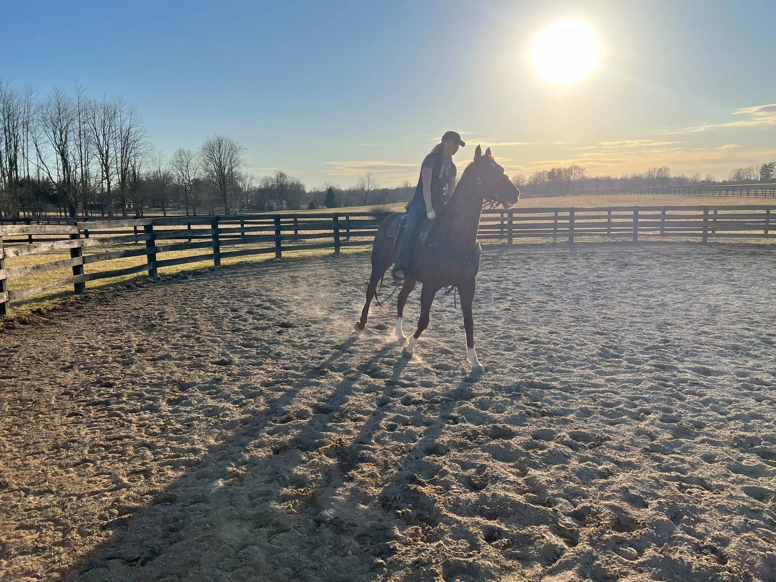 A rider schooling a horse in the round pen on a bright winter morning