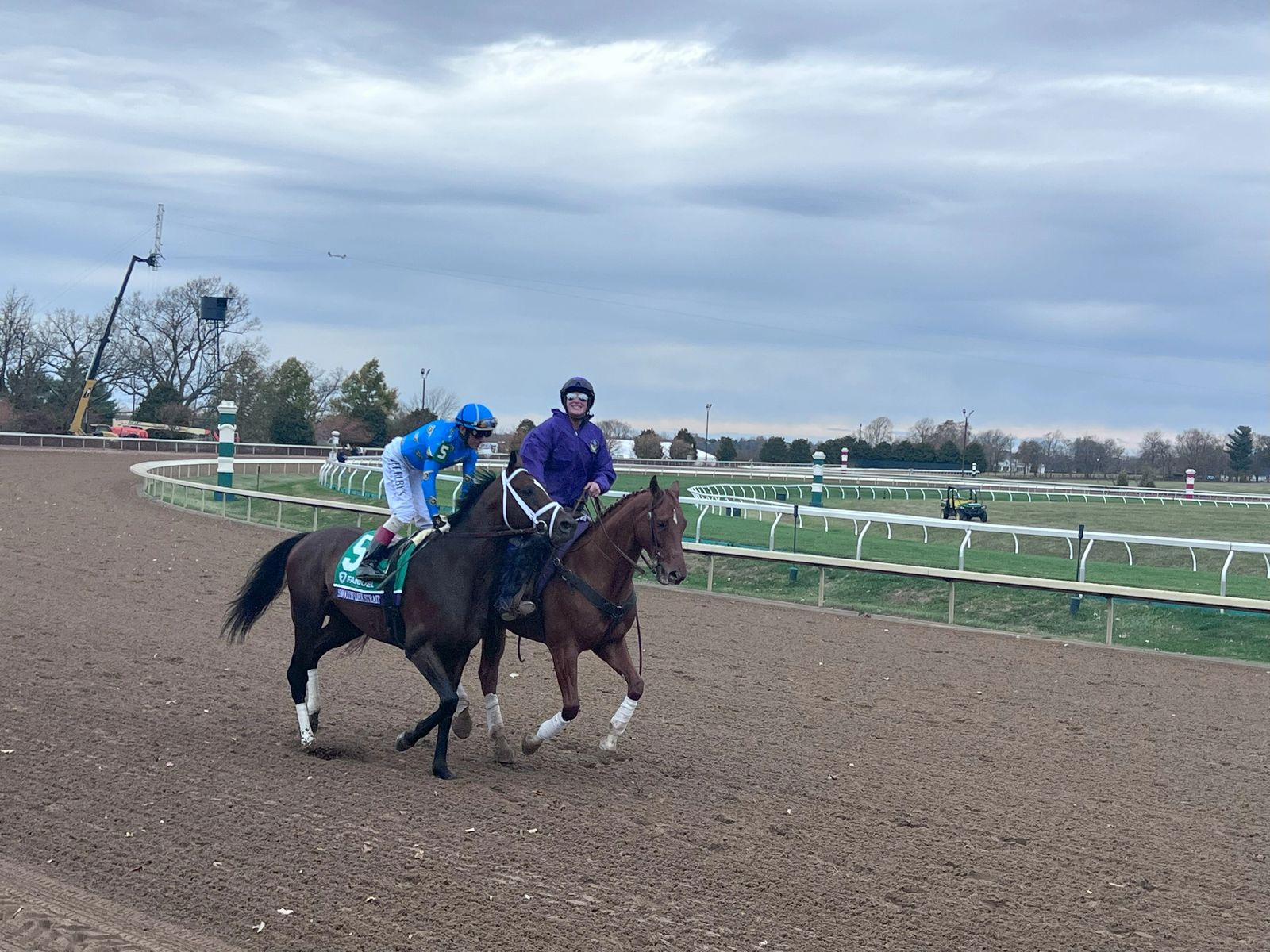 A racehorse and outrider on the track during a race day post parade