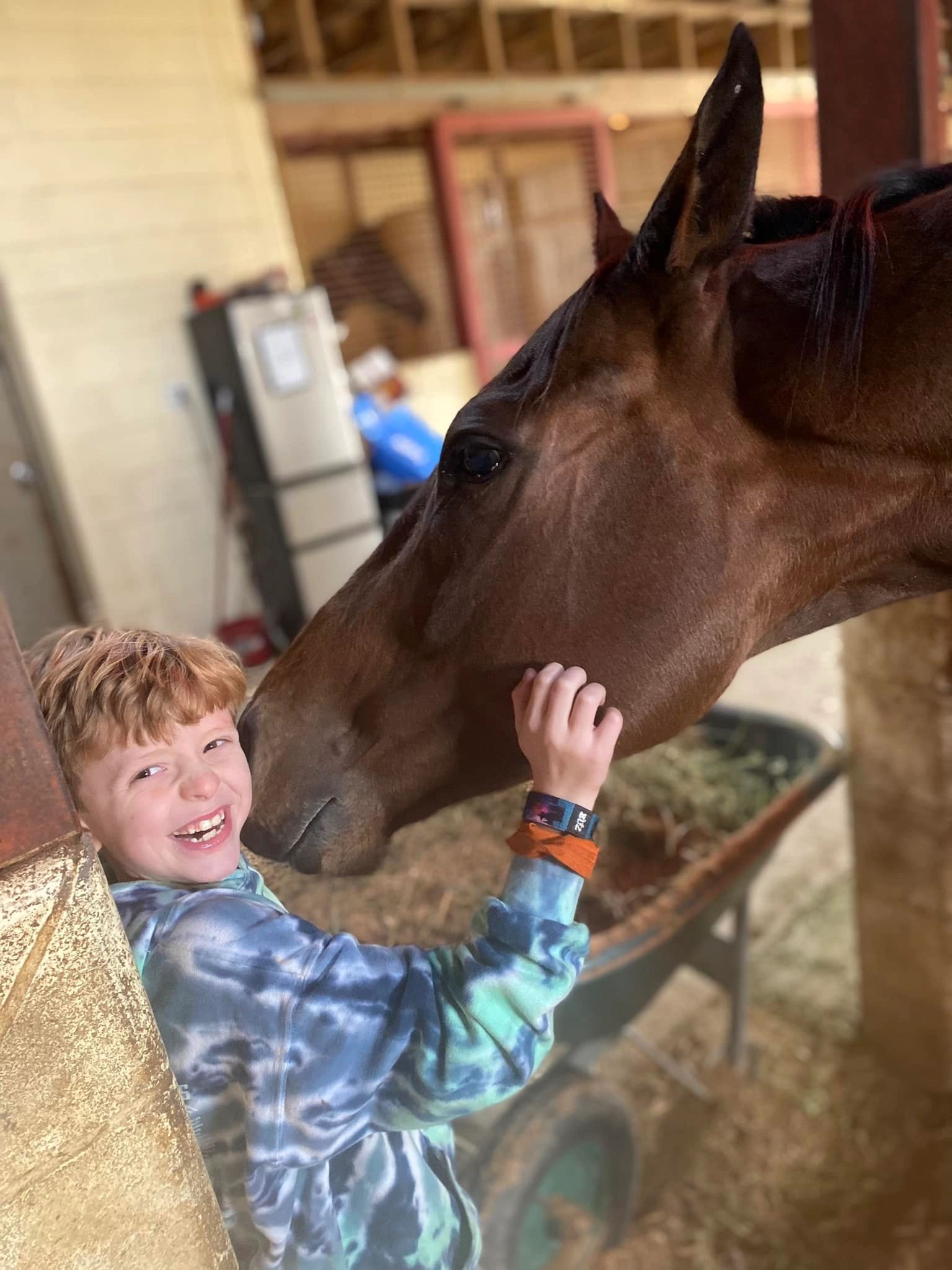 A smiling boy petting a horse in the barn